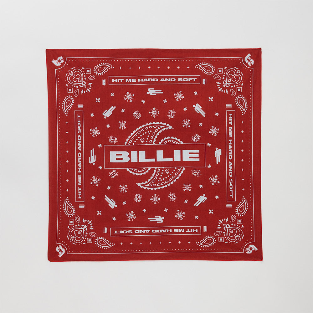 Paisley Bandana 4 Pack